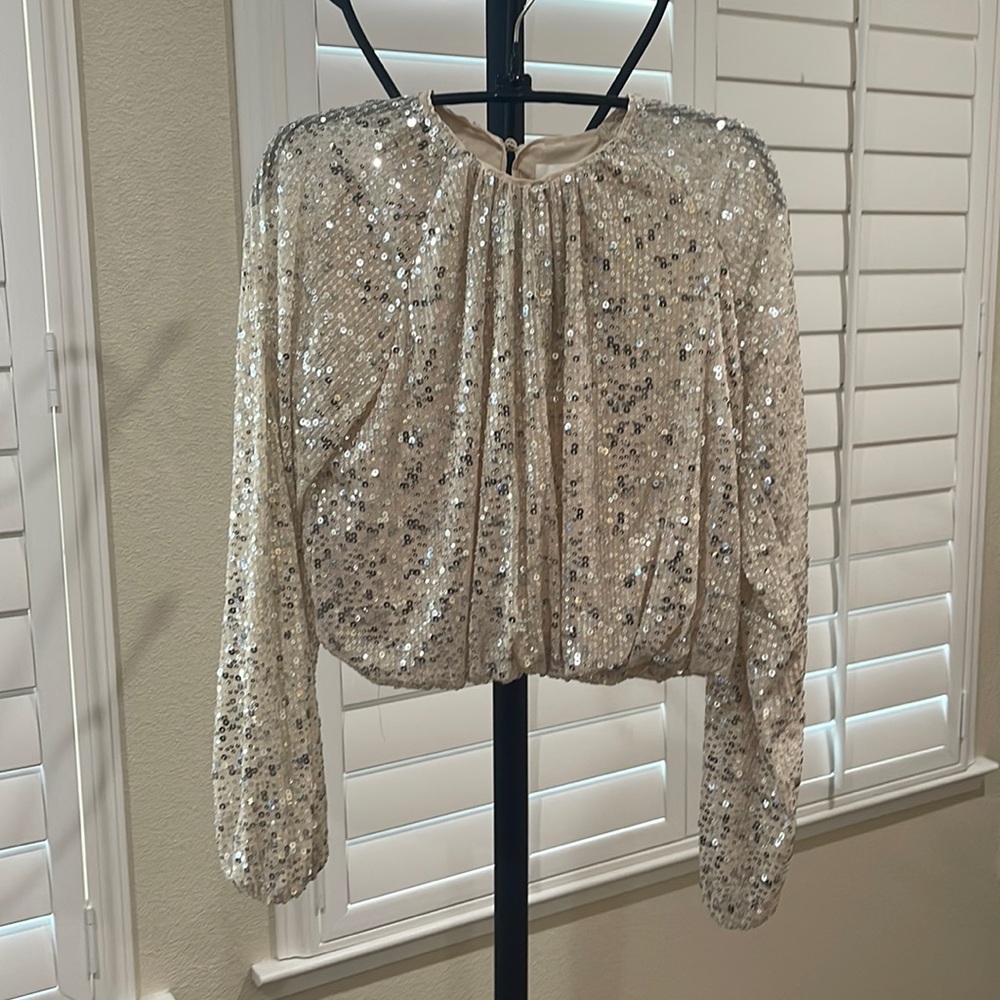 Glittery long sleeved crop top